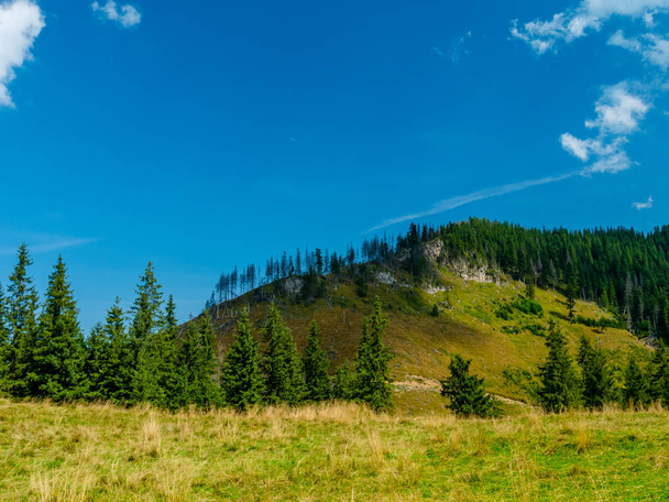 Landscape of mountains in summer - Zdjęcie, obraz