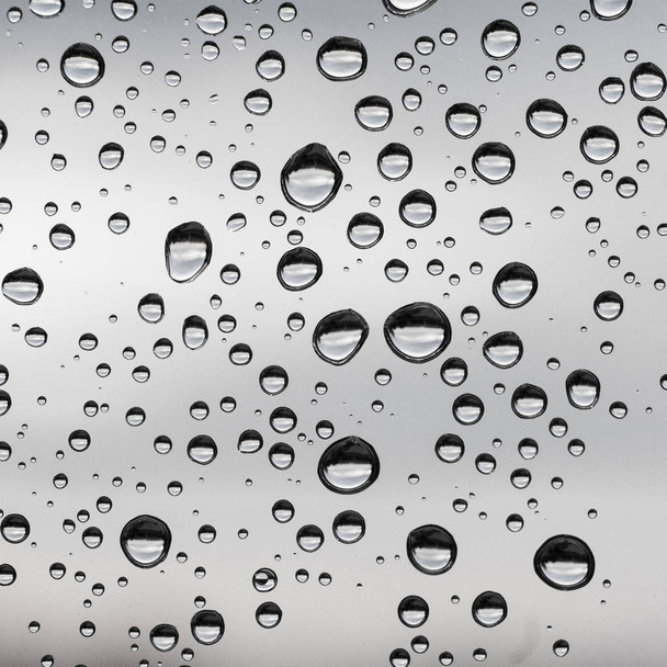 窓ガラスの雨滴のモノクロ画像 - 写真・画像