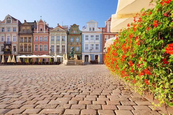 Poznan. Inmuebles tradicionales en la Plaza de la Ciudad Vieja
 - Foto, imagen