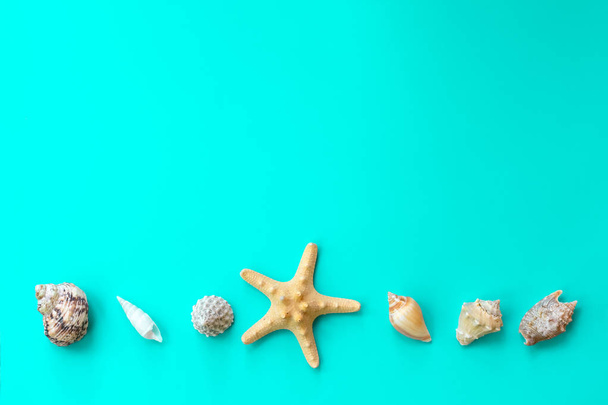 Blue background made of many seashells and star fish with copy space - Foto, imagen