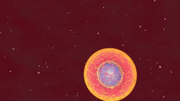 Cellulaire divisie onder de Microscoop, stamcellen verdelen in lichaamsvocht. 3D-animatie van dynamische celdeling - Video