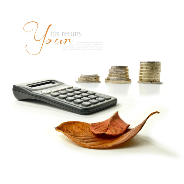 herfst belastingaangiften - Foto, afbeelding