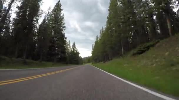 Driving Into Yellowstone From the East Entrance - Footage, Video