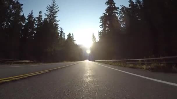 Οδηγώντας κατευθείαν στον ήλιο μέσα από το ορεινό δάσος - Πλάνα, βίντεο
