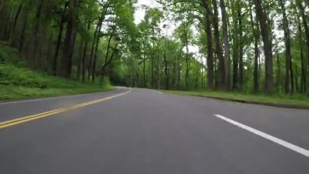 Jazda przez zielony las wczesnym latem w górach Karoliny Północnej - Materiał filmowy, wideo