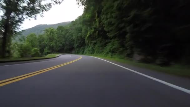 Conduciendo a través de exuberantes bosques en verano en las montañas de Carolina del Norte
 - Metraje, vídeo