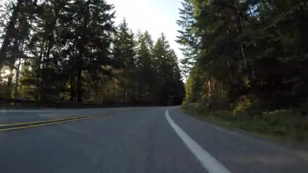 Conducir a través del bosque de pinos
 - Metraje, vídeo