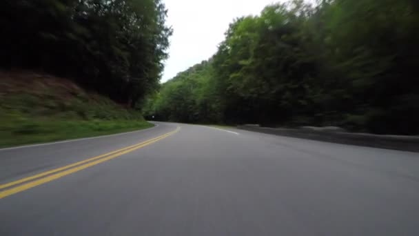 Jízda hustým lesem po zpevněné silnici - Záběry, video