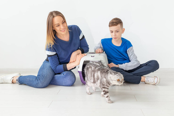 Positive good-looking mother and son launch their beautiful gray Scottish Fold cat into their new apartment after the move. Housewarming concept. - Photo, Image