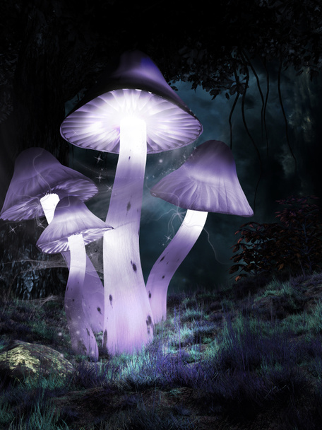 Grupo de cogumelos brilhantes
 - Foto, Imagem
