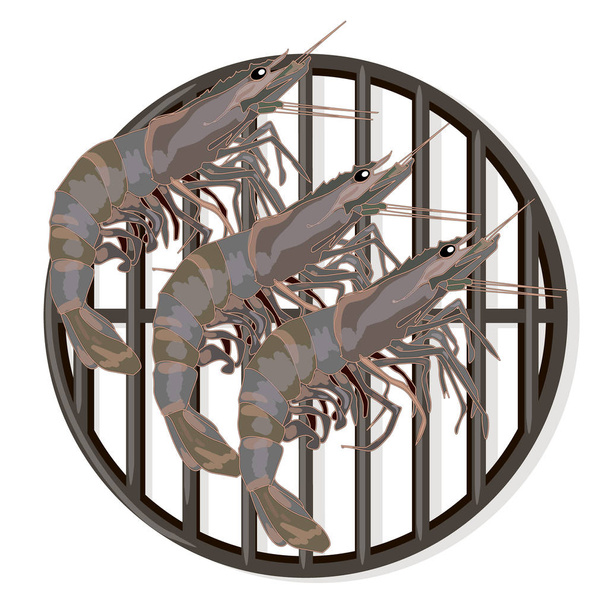 Camarão ou tigre grilliing camarão / bbq vector ilustração isola
 - Vetor, Imagem