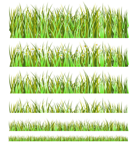 Zöld fű - Vektor, kép