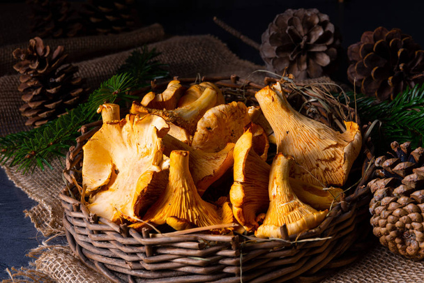 Real chanterelle, enjoyment from the forest - Photo, Image