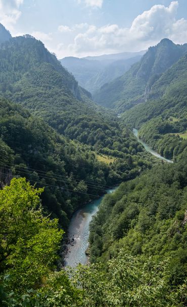 Tara Canyon, summer view (Montenegro). - Фото, зображення