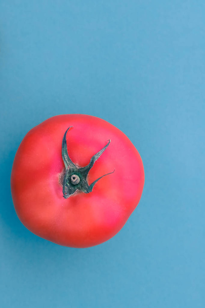 Verse rijpe rode tomaten op blauwe achtergrond, biologisch plantaardige fo - Foto, afbeelding