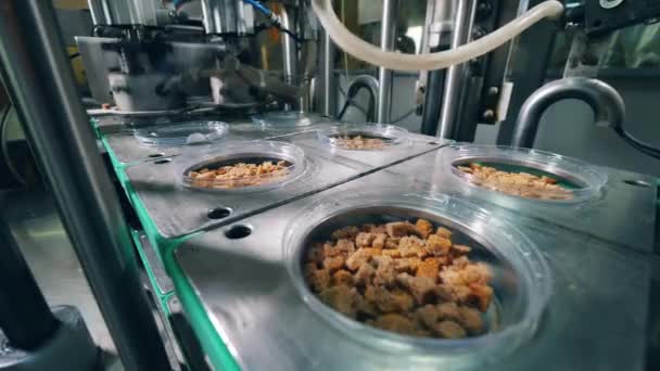Plastic boxes with bread snacks are getting closed mechanically - Felvétel, videó
