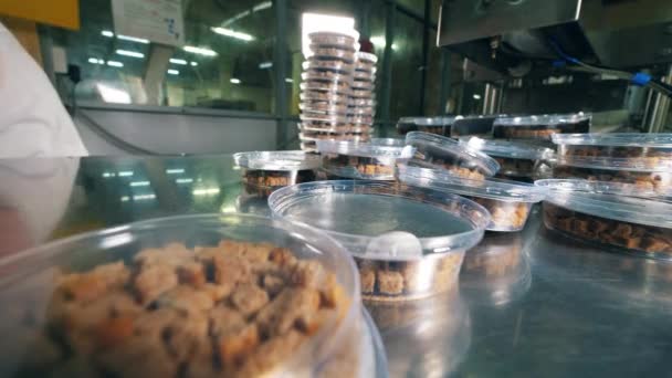 Fabrikarbeiter stapelt Plastikbehälter mit Brotsnacks - Filmmaterial, Video