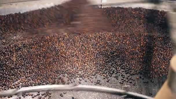 Plenty of coffee beans are getting mingled mechanically - Video