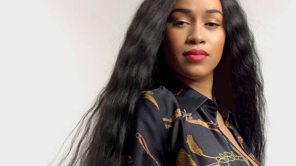 beauty mixed race african american model in studio portraits with long hair wig - Φωτογραφία, εικόνα