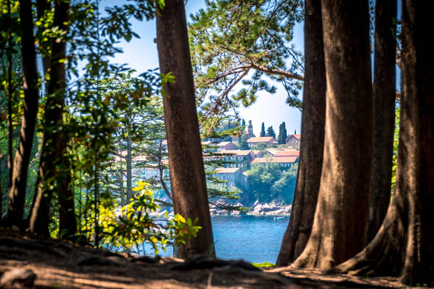 Heilige Stefan Insel durch einen Baum. Montenegro - Foto, Bild