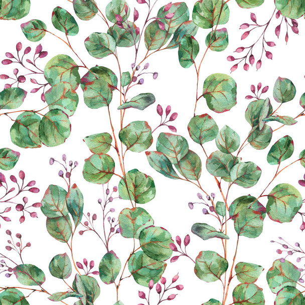 Patrón sin costura de eucalipto floreciente acuarela, Vintage natural
 - Foto, imagen