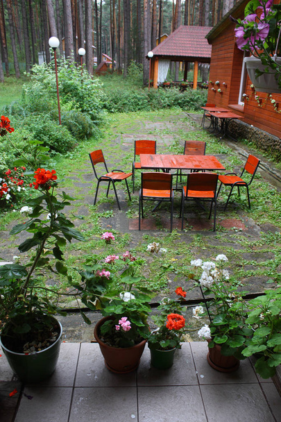 odpoczynku w sosnowym lesie. Lunch na świeżym powietrzu. drewniany dom w wiejskim dniu letnim z zieloną trawą, - Zdjęcie, obraz