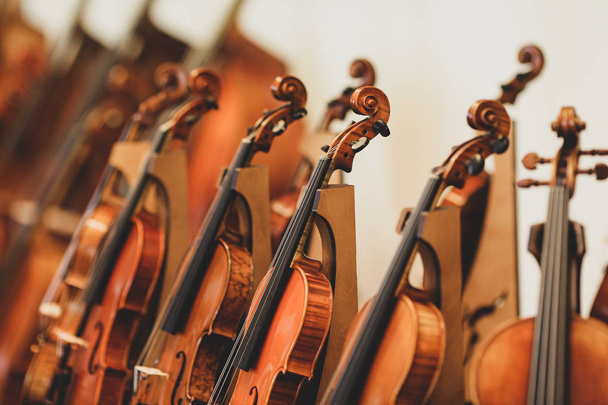 Podrobnosti s částmi housle před symfonickou klasickou konverzí - Fotografie, Obrázek