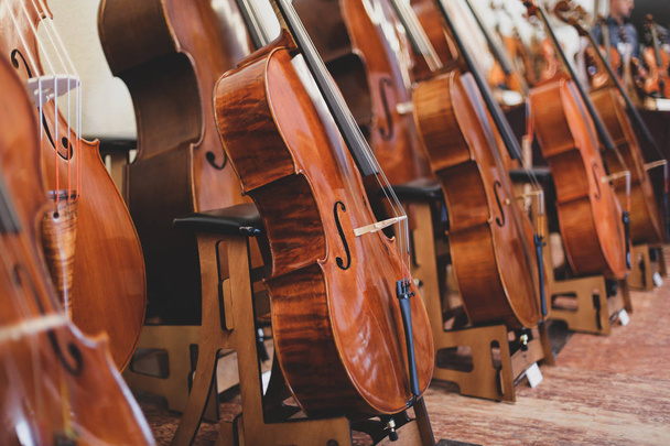 Detalhes com partes de violinos antes de um sinfônico clássico conce
 - Foto, Imagem