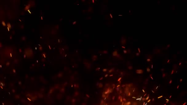 Chispas rojas ardientes vuelan desde un gran fuego en el cielo nocturno. Hermoso fondo abstracto sobre el tema de fuego, luz y vida. Brasas ardientes que brillan volando lejos partículas sobre fondo negro. - Metraje, vídeo