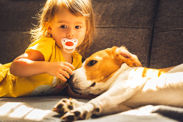 niedliches kleines Mädchen kuschelt mit Beagle-Hund. Nahaufnahme, seichter Dof. - Foto, Bild