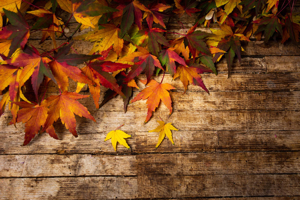 Autumn leaves on wooden background with copy space - Foto, Imagen