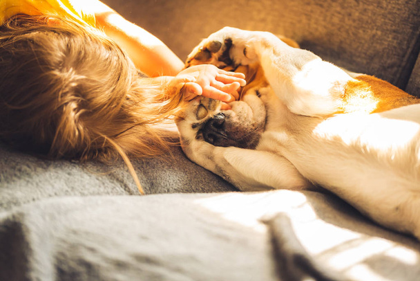 Sevimli bebek kız beagle köpek ile sarılmak. Yakın çekim, sığ Dof. - Fotoğraf, Görsel