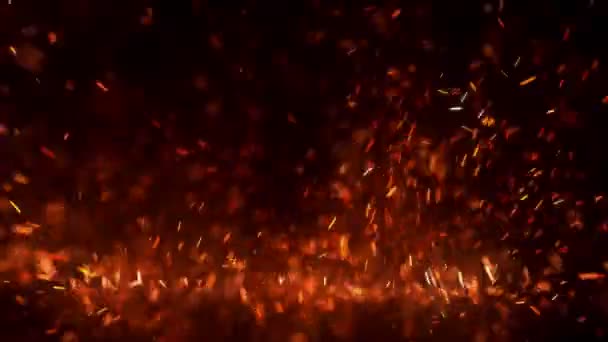 Płonące czerwone iskry latają z wielkiego ognia na nocnym niebie. Piękne abstrakcyjne tło na temat ognia, światła i życia. Płonące żar świecące odlatujące cząstki na czarnym tle - Materiał filmowy, wideo