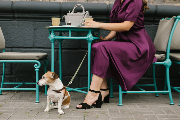 street cafe coffee break with dog. Blue and purple. Big city street style - Zdjęcie, obraz