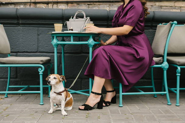 dog friendly street cafe. Elagant womn legs. Coffee break with pet - Zdjęcie, obraz
