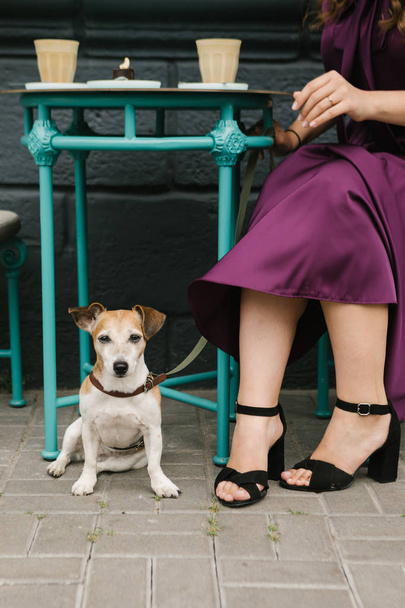 Cafe with pet. Elegant woman having coffe in street cafe. Woman legs - Фото, изображение