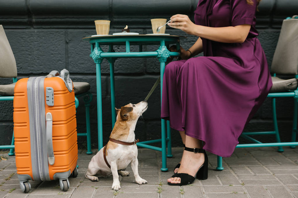 Waiting for departure. Travel lovers. Dog and woman in street cafe - Фото, зображення
