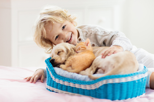 Child, dog and cat. Kids play with puppy, kitten. - Photo, Image