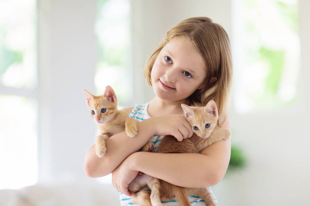 Un petit enfant tenant un bébé chat. Enfants et animaux domestiques
 - Photo, image