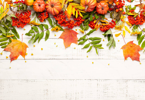 Autumn concept with pumpkins, flowers, autumn leaves and  rowan  - Foto, imagen