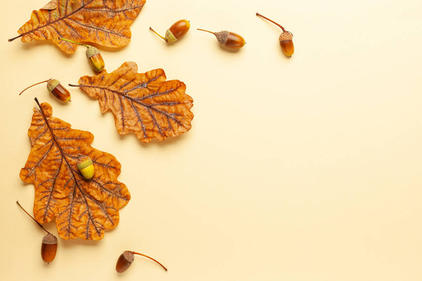 Autumn composition with autumn dried leaves of oak tree and acor - Valokuva, kuva
