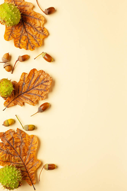 composición de otoño con hojas secas de otoño de roble, bellota a
 - Foto, imagen