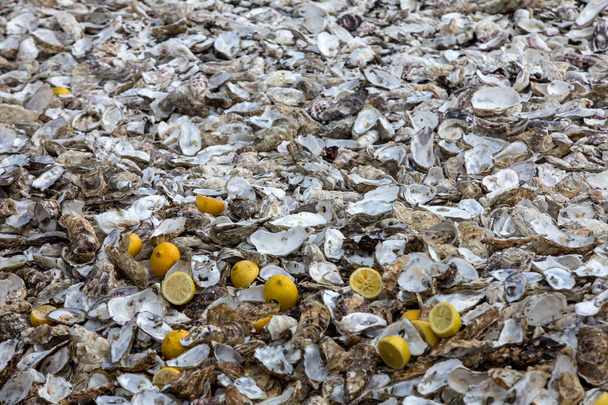 Tausende leere Schalen verzehrter Austern, die auf dem Meeresboden in Cancale entsorgt wurden, das für Austernfarmen berühmt ist. Bretagne, Frankreich  - Foto, Bild