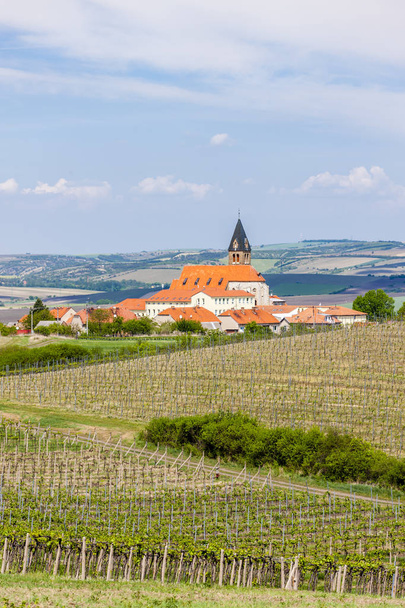 viinitarhat, Palava, Määrin alue, Tsekin tasavalta - Valokuva, kuva