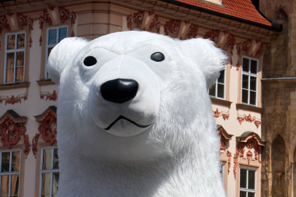 masker van grote ijsbeer en Panda - Foto, afbeelding