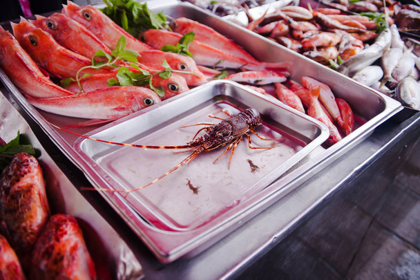 Homard épineux frais et vivant au marché aux poissons Marsaxlokk, Malte
 - Photo, image
