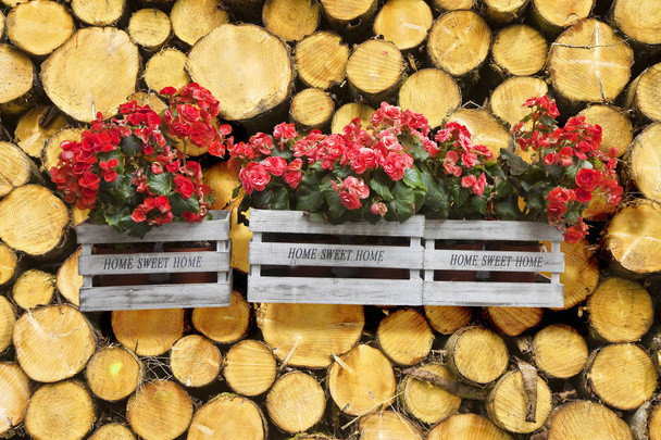 Bir kereste yığını üzerinde asılı Çiçek kutuları - Ev tatlı ev writte - Fotoğraf, Görsel
