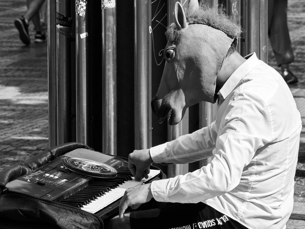 un hombre con forma de caballo toca el piano
 , - Foto, Imagen