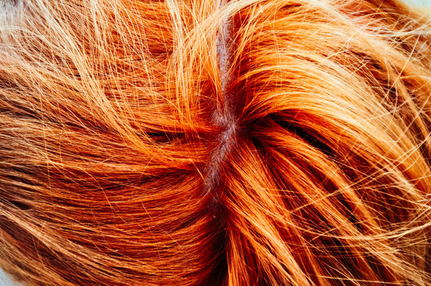 beleza vermelho cabelo textura menina
 - Foto, Imagem