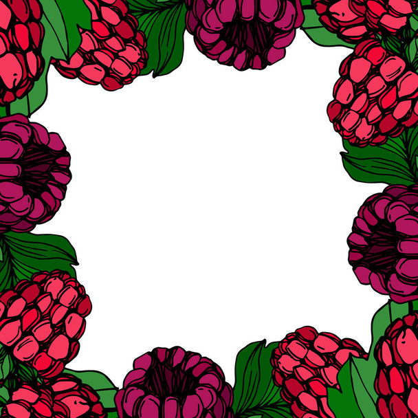 Векторная малина здоровой пищи свежая ягода изолированы. Черно-белый рисунок чернил. Граничный орнамент
. - Вектор,изображение
